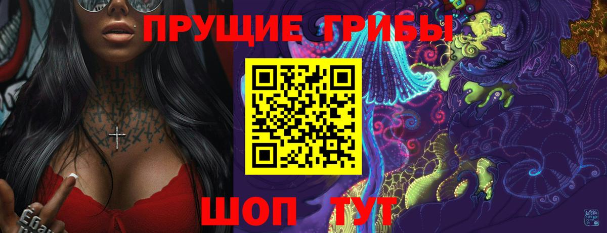 Галлюциногенные грибы Cubensis Барабинск