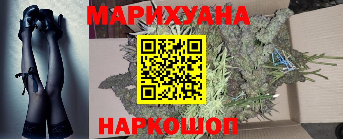 Конопля гибрид Барабинск